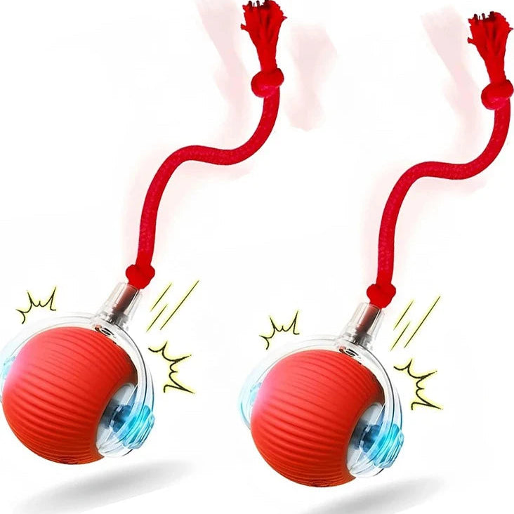 ChewBuddy-Interactive Rolling Ball