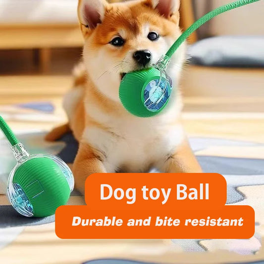 ChewBuddy-Interactive Rolling Ball