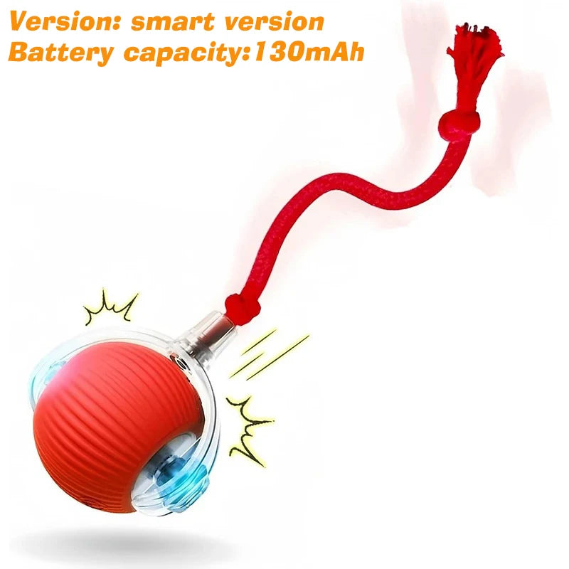 ChewBuddy-Interactive Rolling Ball
