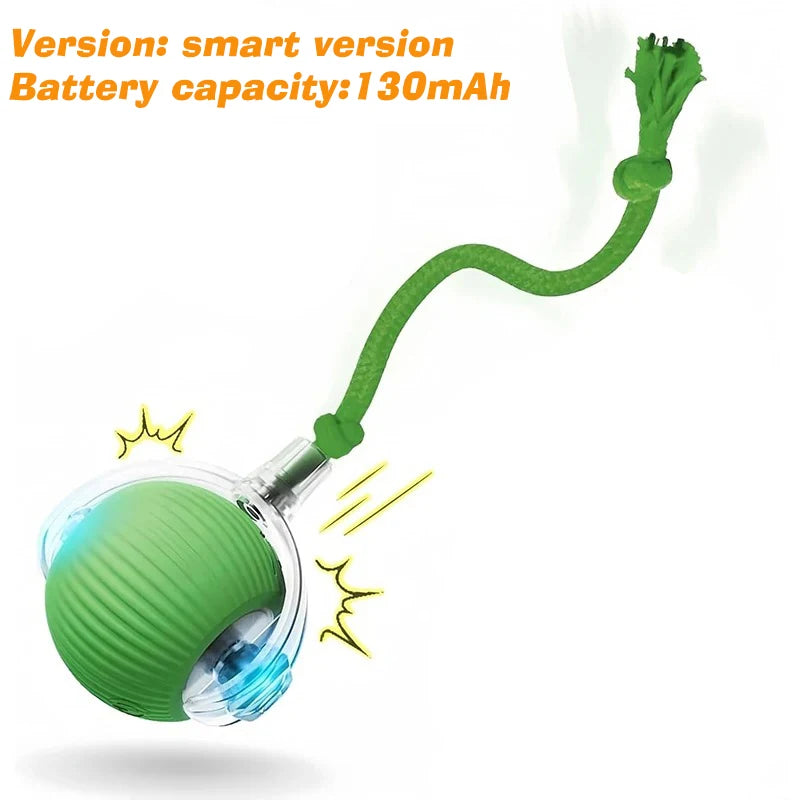 ChewBuddy-Interactive Rolling Ball